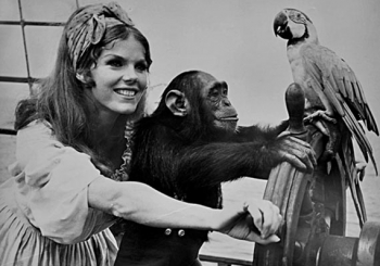 Heading for Saint Lucia: Samantha Eggar in Doctor Dolittle.