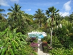 The tropical gardens with the pool