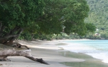 Beach in front of hotel