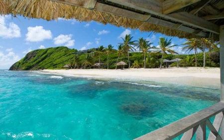 Palm lined beach