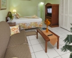 Palm Gardens Hotel: Room (example)