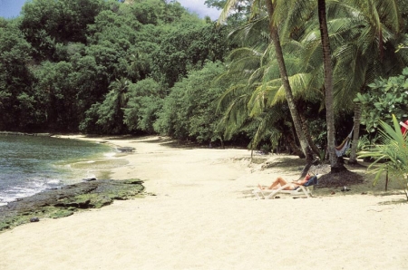 Arnos Vale Resort: the beach in front of the property.