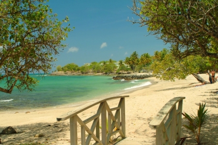 Beach at Amandier Resort